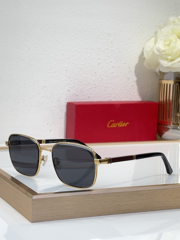Cartier CT0621S Full - Rim Square Sunglasses