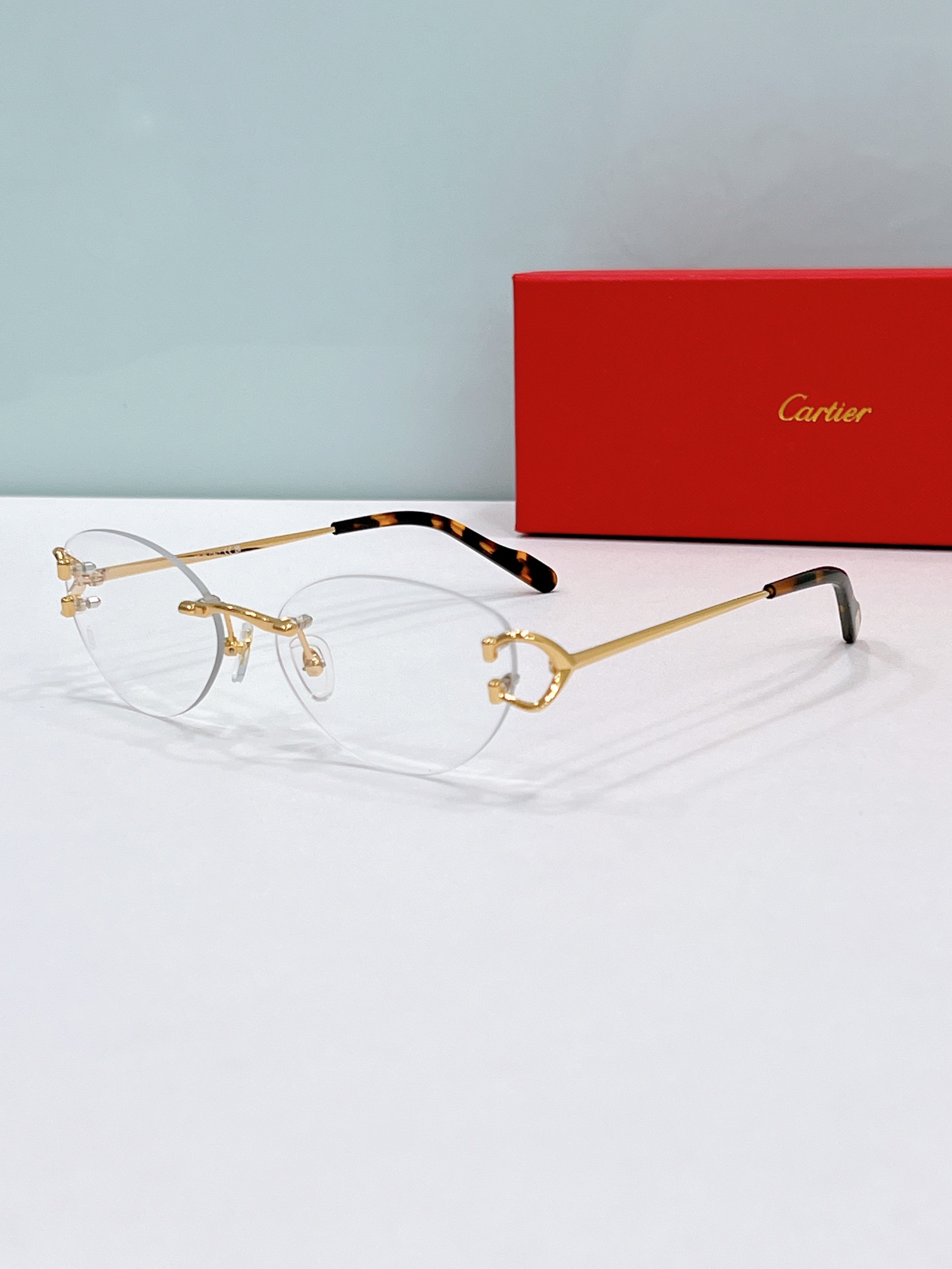 Cartier CT0484O Wire-Rimmed Optical Glasses