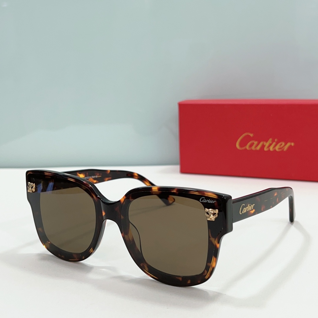 Cartier CT0357S Square Sunglasses