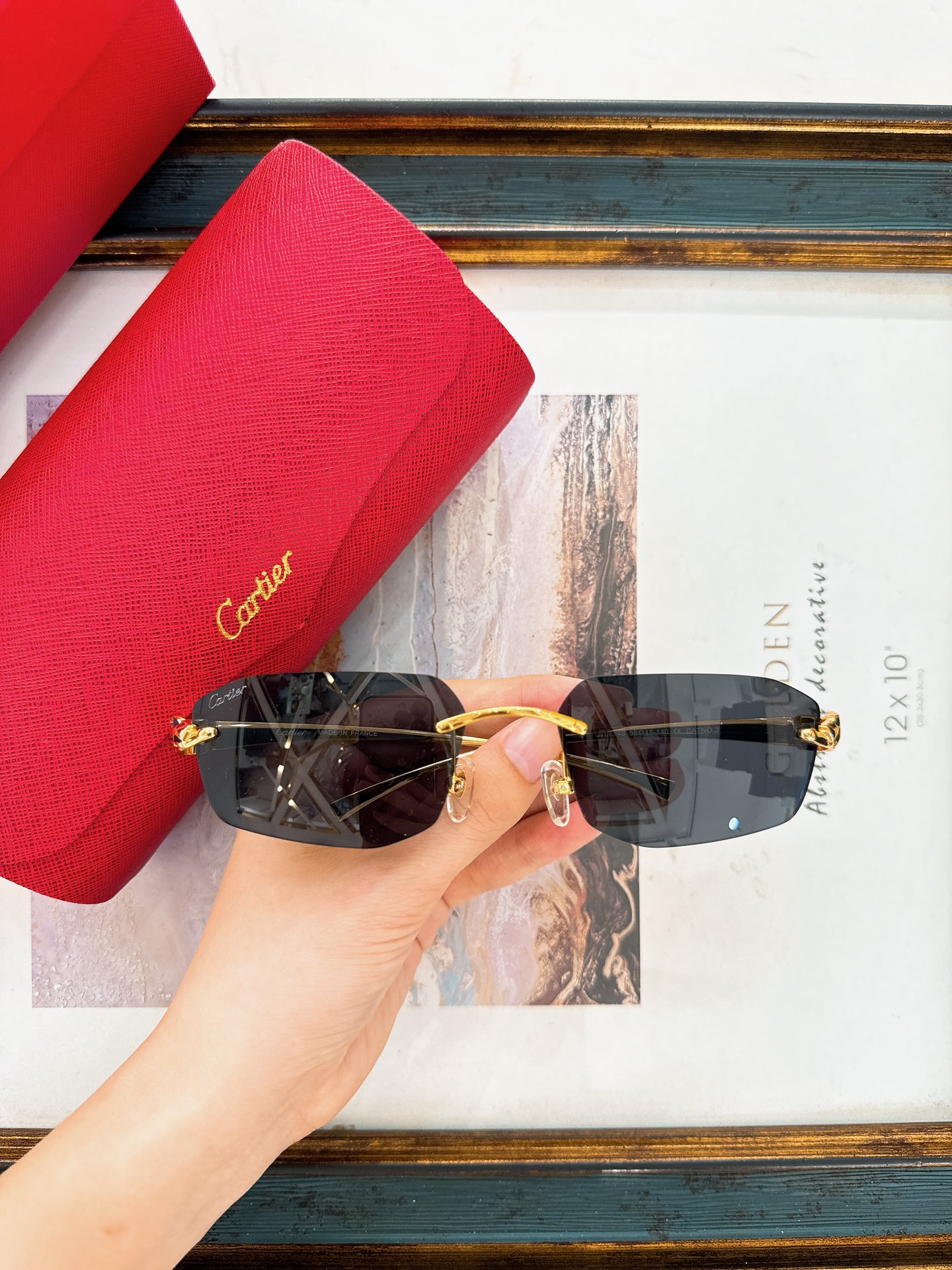 Cartier Panthère Bronze Elegance CT0474S